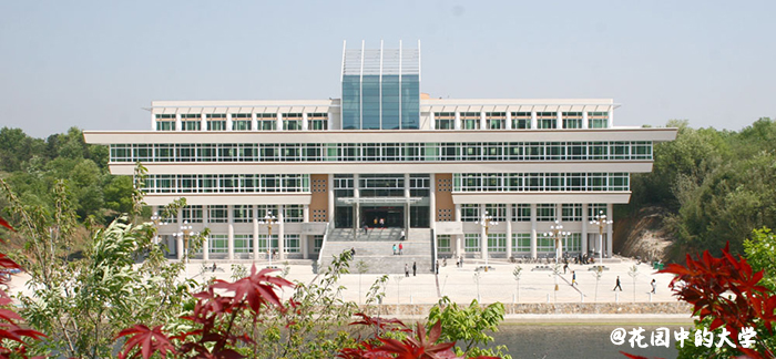 bC11.jpg
